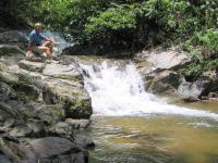 left click for larger picture