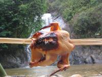 left click for larger picture