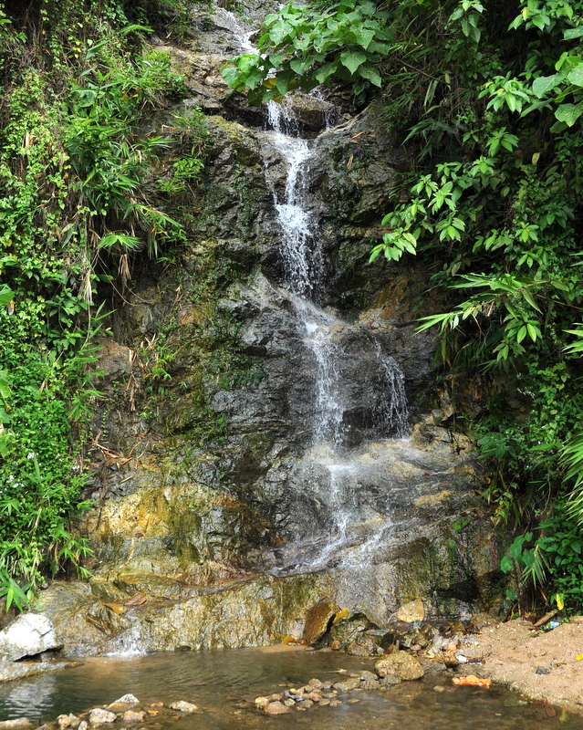 dsc_4607.jpg