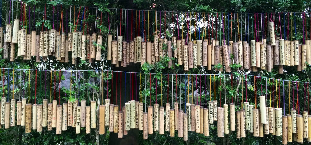 Bamboo cylinders