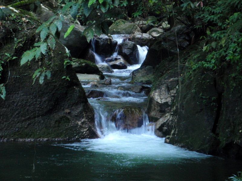 P1190036.JPG