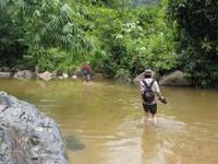 left click for larger picture