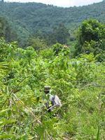 left click for larger picture