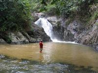 left click for larger picture